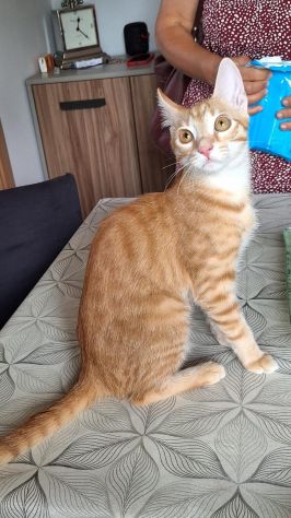 Zoe, una meravigliosa rossa - Foto 3