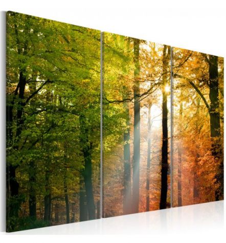 Quadro Bosco Arancione ARREDALACASA