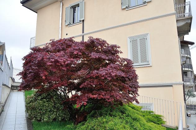 Trilocale in affitto a Settimo Torinese - Foto 20