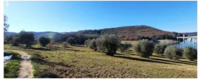 Immobile in asta di 37170 m² in vendita a Baschi - Foto 5