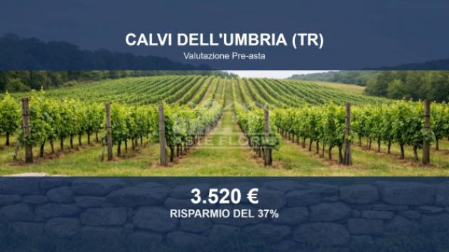 Immobile in asta di 13150 m² in vendita a Calvi dell'Umbria