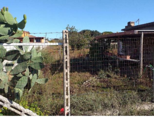Immobile in asta di 1826 m² in vendita a Nettuno - Foto 4
