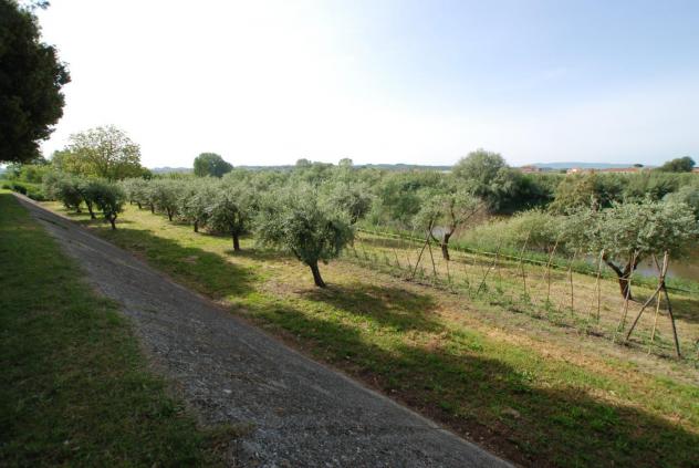 Villa in vendita a Santa Maria a Monte 1463 mq Rif: 895793 - Foto 5
