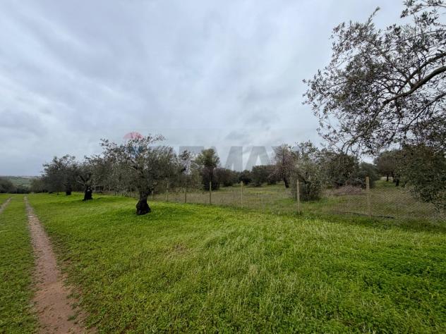 Terreno in vendita a Chiaramonte Gulfi - Foto 12