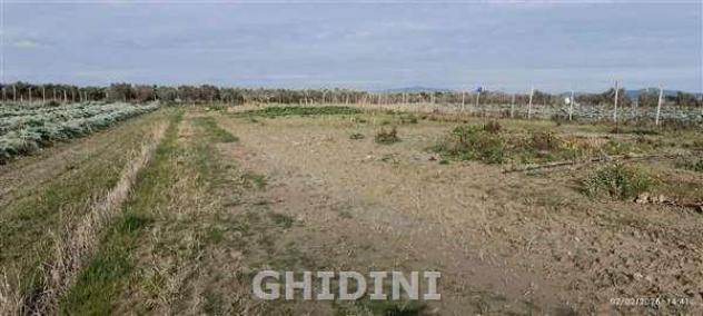 RUSTICO di 2 vani e di 130 mq (GROSSETO - POGGIALE) rif. 2537.28M - Foto 16
