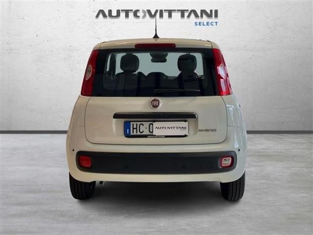 FIAT Panda Pandina 1.0 FireFly Hybrid 65cv Icon S&S 5p.ti rif. 24121707 - Foto 2
