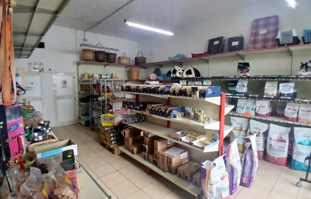 Capannone in vendita a San Giuliano Terme (PI) - Foto 5