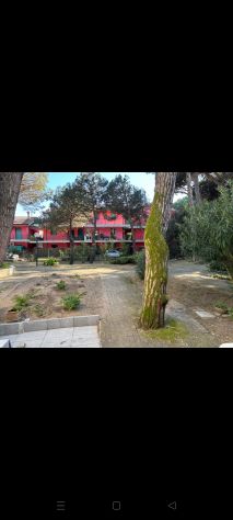 Vacanze a Rosolina Mare (Rovigo) - Foto 2