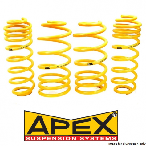Assetto Renault Megane Bilstein ammortizzatori B6 B8 B14 molle Apex H&R - Foto 5