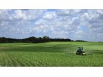 LUCREZIA: Lotto di terreno edificabile con terreno agricolo adiacente a car &hellip;