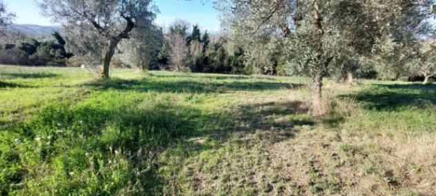 Immobile in asta di 6583 m² in vendita a Nereto - Foto 11