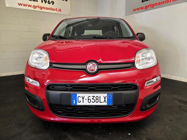 FIAT Panda 1.0 FireFly 70cv S&S Hybrid - Foto 2