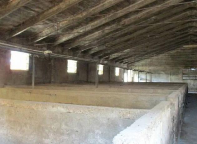 Immobile in asta di 7899 m² in vendita a Pieve del Cairo - Foto 11