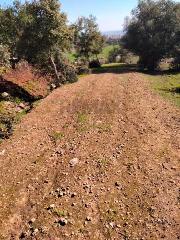 Terreno in vendita a Francofonte - Foto 14