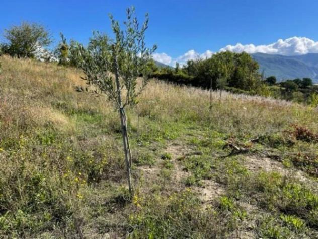 Immobile in asta di 21005 m² in vendita a Gualdo Tadino - Foto 6