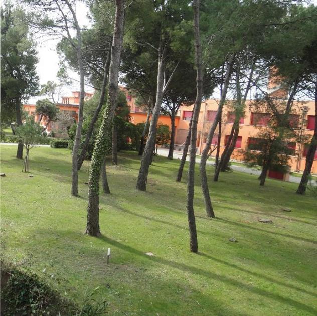 Palazzina indipendente ex Colonie - Foto 2