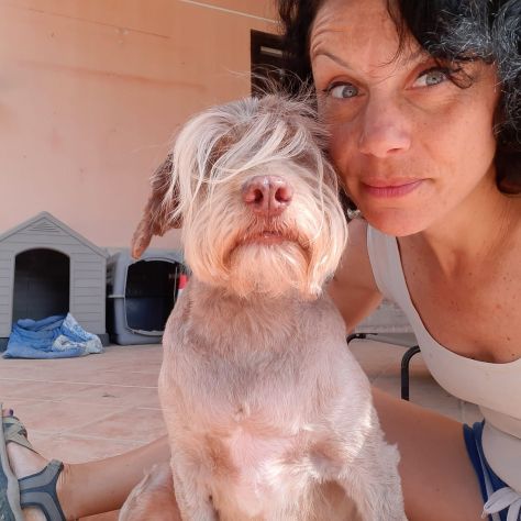 Gigi simil lagotto - Foto 5
