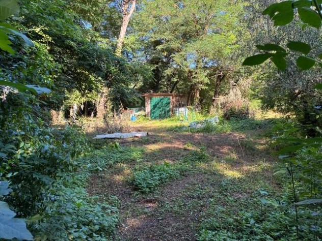Baita/Chalet/Trullo in vendita a Cascine - Buti 30 mq Rif: 1420846 - Foto 5