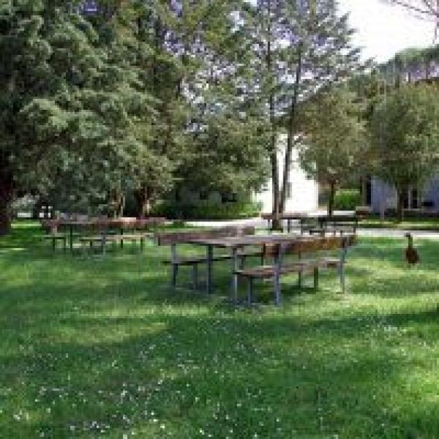 Colleverde S.r.l. - Foto 4