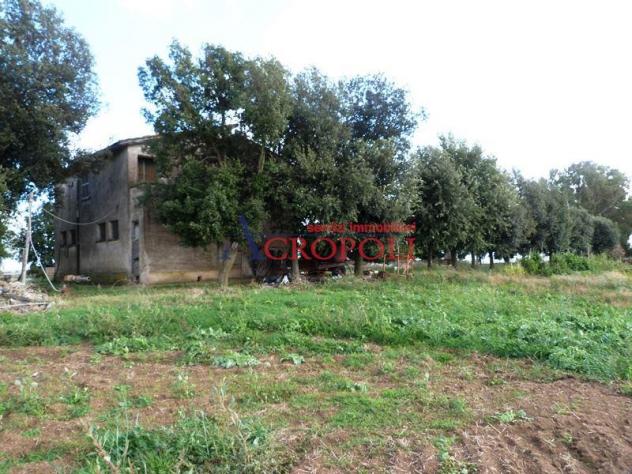 VIA CASALE DI SPANORA - CASA RURALE E TERRENO AGRICOLO IN VENDITA - Foto 16