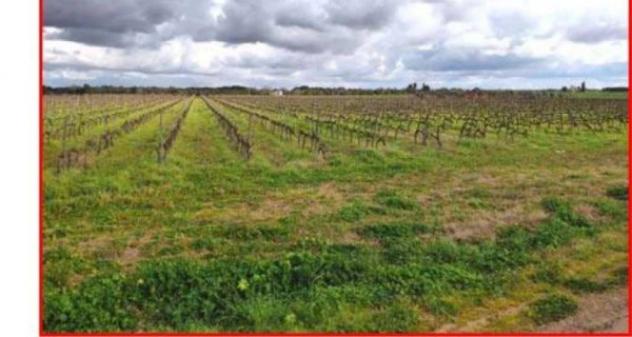 Immobile in asta di 415142 m² in vendita a Galatina - Foto 2
