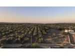 Terreno edificabile in vendita a Ostuni