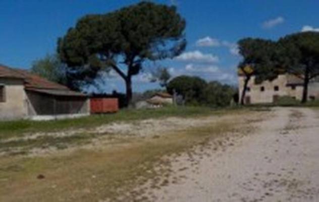 Immobile in asta di 1 m² con più di 5 locali in vendita a Velletri - Foto 9