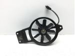KAWASAKI ER-5 500 ELETTROVENTOLA RADIATORE 2001 2003 ER500ACA