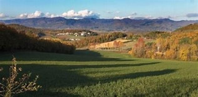 Borgo S.Lorenzo ANNESSO MQ 120  terreno giardino totali 6 ettari