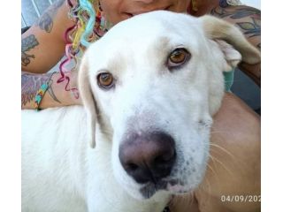 Casper