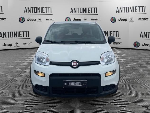 FIAT Panda Panda 1.0 Firefly Hybrid 70cv Pop - Foto 2