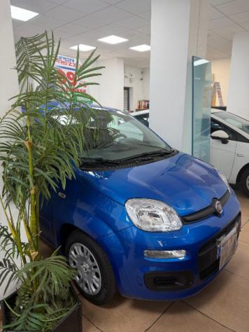 FIAT Panda APERTI AD AGOSTO rif. 24016501 - Foto 2