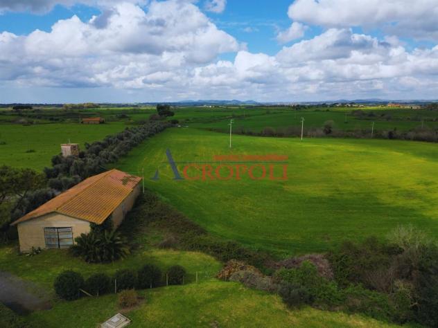 Magazzino 1 locale - Rif. 2481