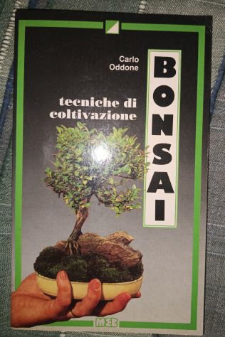 Bonsai Tecniche di coltivazione 2
