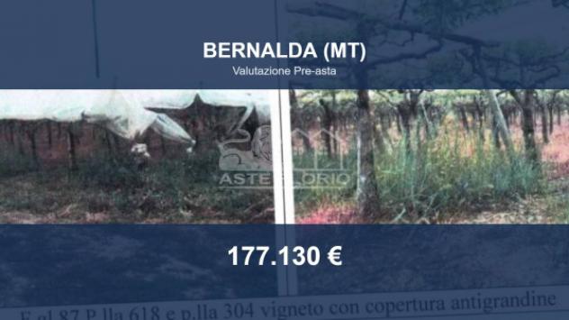 Immobile in asta di 106556 m² in vendita a Bernalda