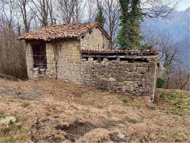 2239/2025 4 BG - Fabbricato rurale con stalla e fienile + terreni agricoli e boschivi - Foto 8