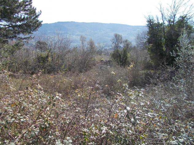 Terreno agricolo in Vendita in zona MONTORSOLI con giardino - Foto 3