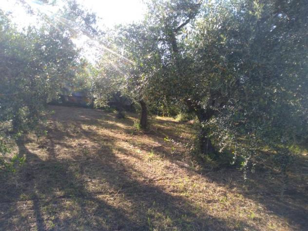 LANUVIO - Foto 13