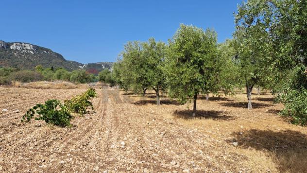 Terreno in vendita a Priolo Gargallo - Foto 5