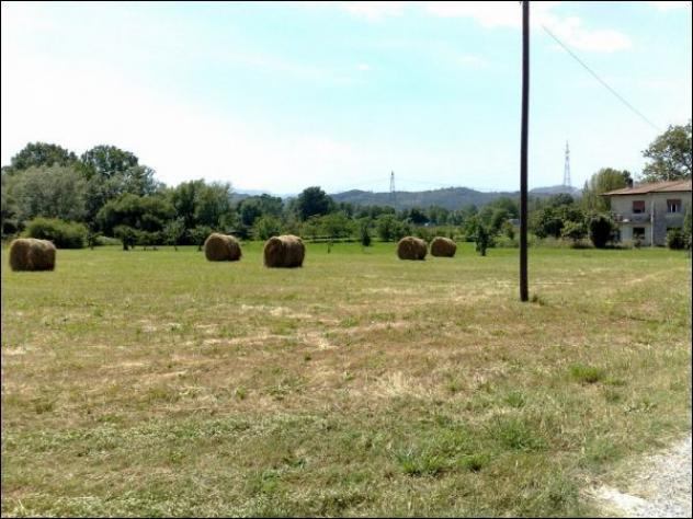 Terreno agricolo in vendita a Sarzana 5000 mq Rif: 1123247