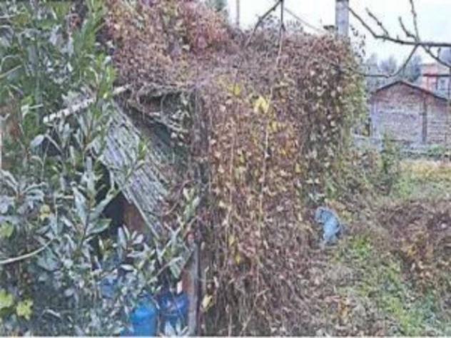 Immobile in asta di 232 m² con più di 5 locali in vendita a Adria - Foto 4