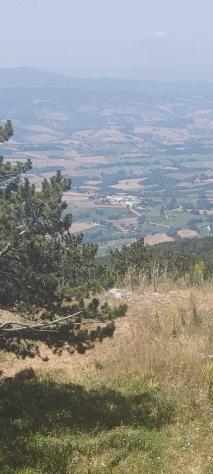 Porzione di casa in vendita a Massa Martana - Foto 4