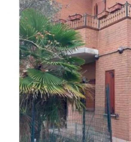 Immobile in asta di 352 m² con più di 5 locali in vendita a Novi di Modena - Foto 19