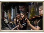"Quartetto d'archi Piacenza" musica per matrimoni ed eventi