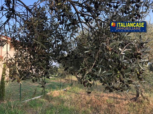 Agricolo in vendita a Città Sant'Angelo - Foto 6