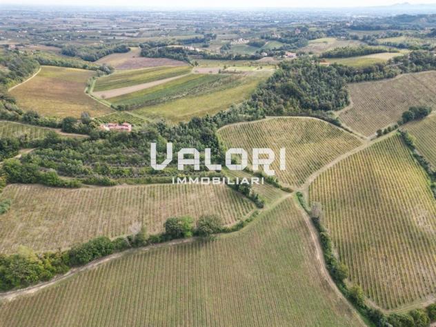 PODERE AGRICOLO DI CIRCA HA 31 OLTRE A CORTE CON CASA COLONICA E SERVIZI - Foto 15