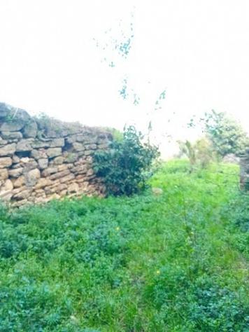 Agricolo in vendita a Orsogna - Foto 2