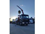 IVECO EUROCARGO  100E22 GRU E RIBALTABILE rif. 24079868