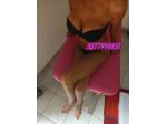 Massaggi - benessere Frosinone - Oasi del Benessere Tel:3277999851