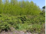 Terreno edif. residenziale in vendita a Orentano - Castelfranco di Sotto 84 &hellip;
